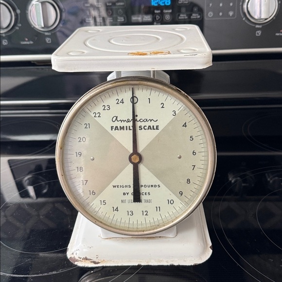 Vintage America Other - Vintage American Family Scale